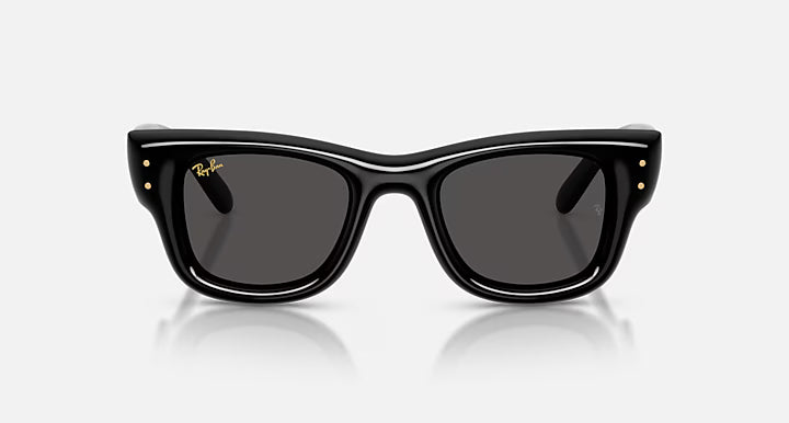 RayBan Wayfarer Puffer