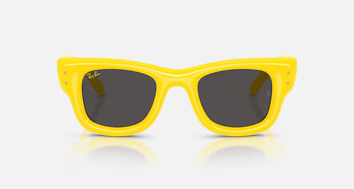 RayBan Wayfarer Puffer