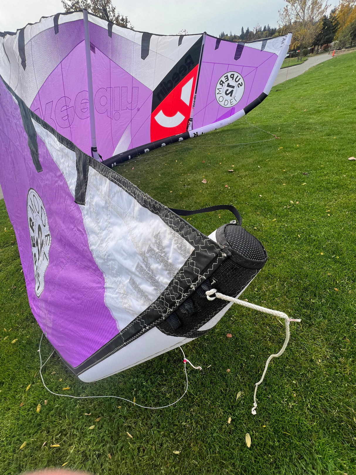 12m Reedin Super Model HTF Kiteboarding Kite - Used
