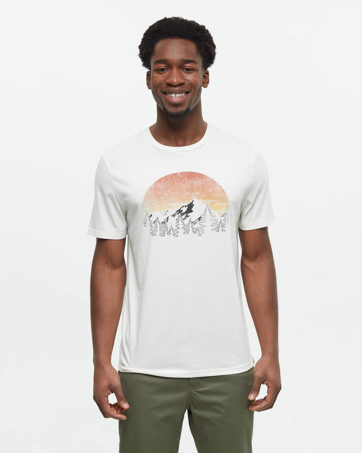 TenTree Men's Vintage Sunset T-Shirt