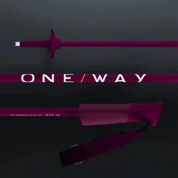 Fischer GTX 14 XC Ski Poles - Blackberry