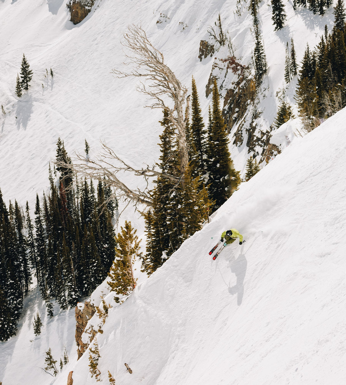 Kastle Paragon 101 Ski 2026