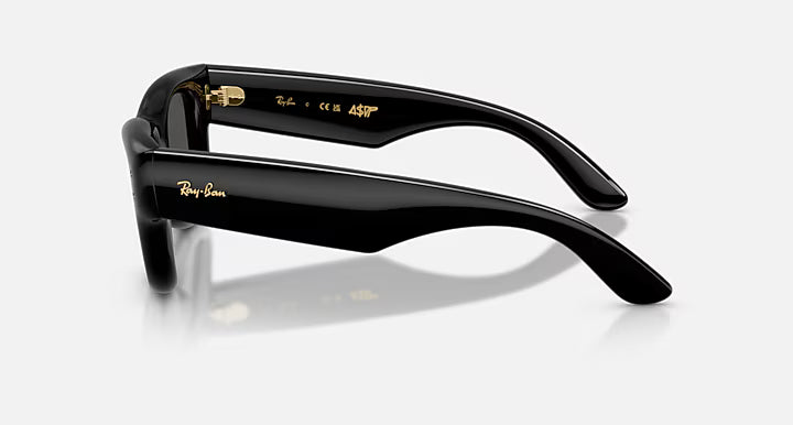 RayBan Wayfarer Puffer