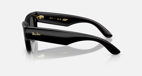 RayBan Wayfarer Puffer