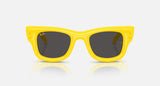 RayBan Wayfarer Puffer
