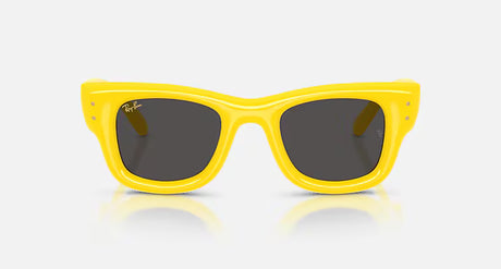 RayBan Wayfarer Puffer