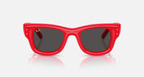 RayBan Wayfarer Puffer