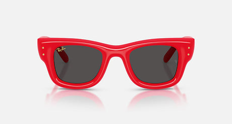 RayBan Wayfarer Puffer