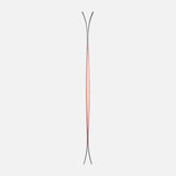 Dynastar M-Free 100 skis 2027