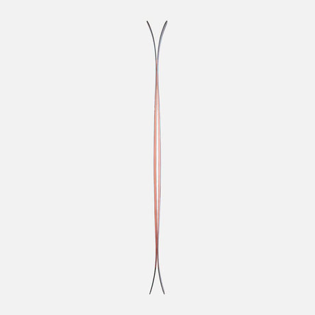 Dynastar M-Free 100 skis 2027