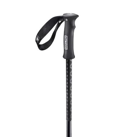 Faction Ski Poles - Black