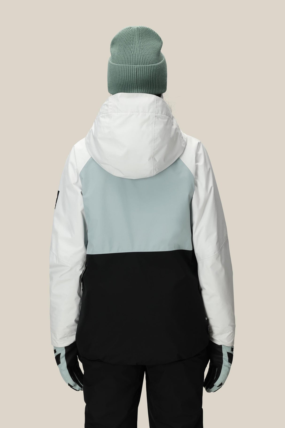 686 Women's Gore-Tex Willow Insulated Jacket