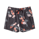 Roark Shorey Swim Trunks