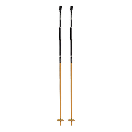 Armada Legion Ski Poles