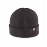 Pistil Designs Tinh Beanie - Black